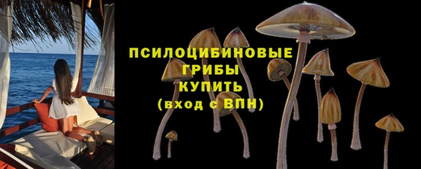 меф Армянск
