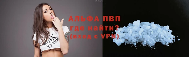 бошки Арсеньев
