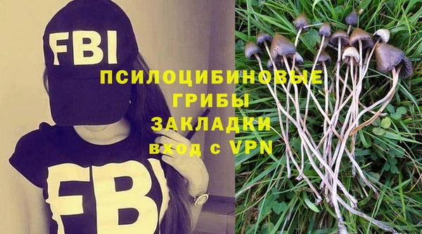 бошки Арсеньев